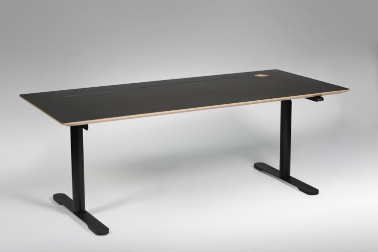 reguleeritav laud mart