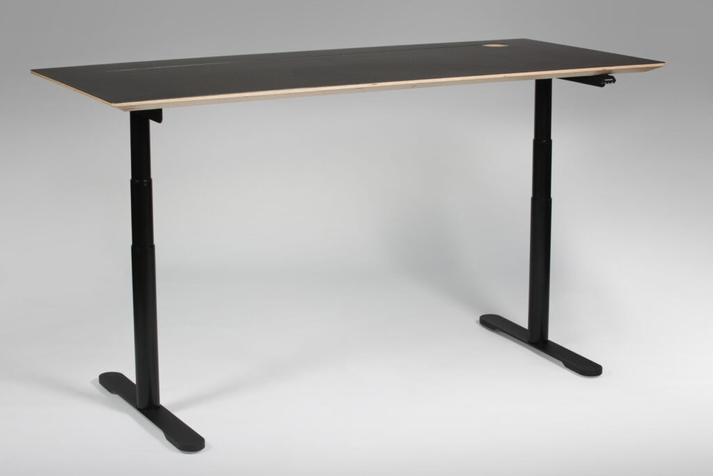 reguleeritav laud mart must